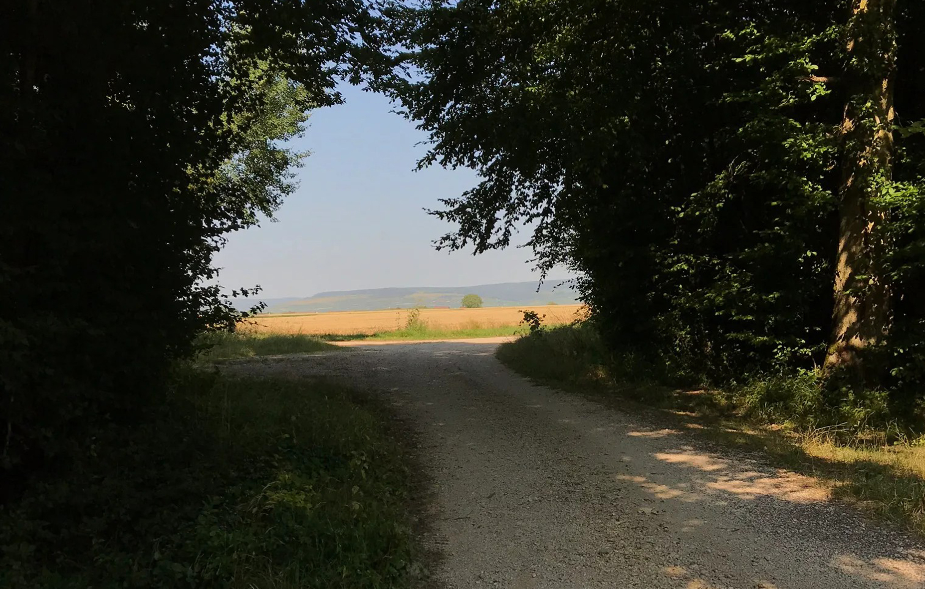Profitez de l’été pour méditer en marchant