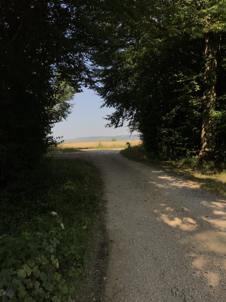 Profitez de l’été pour méditer en marchant