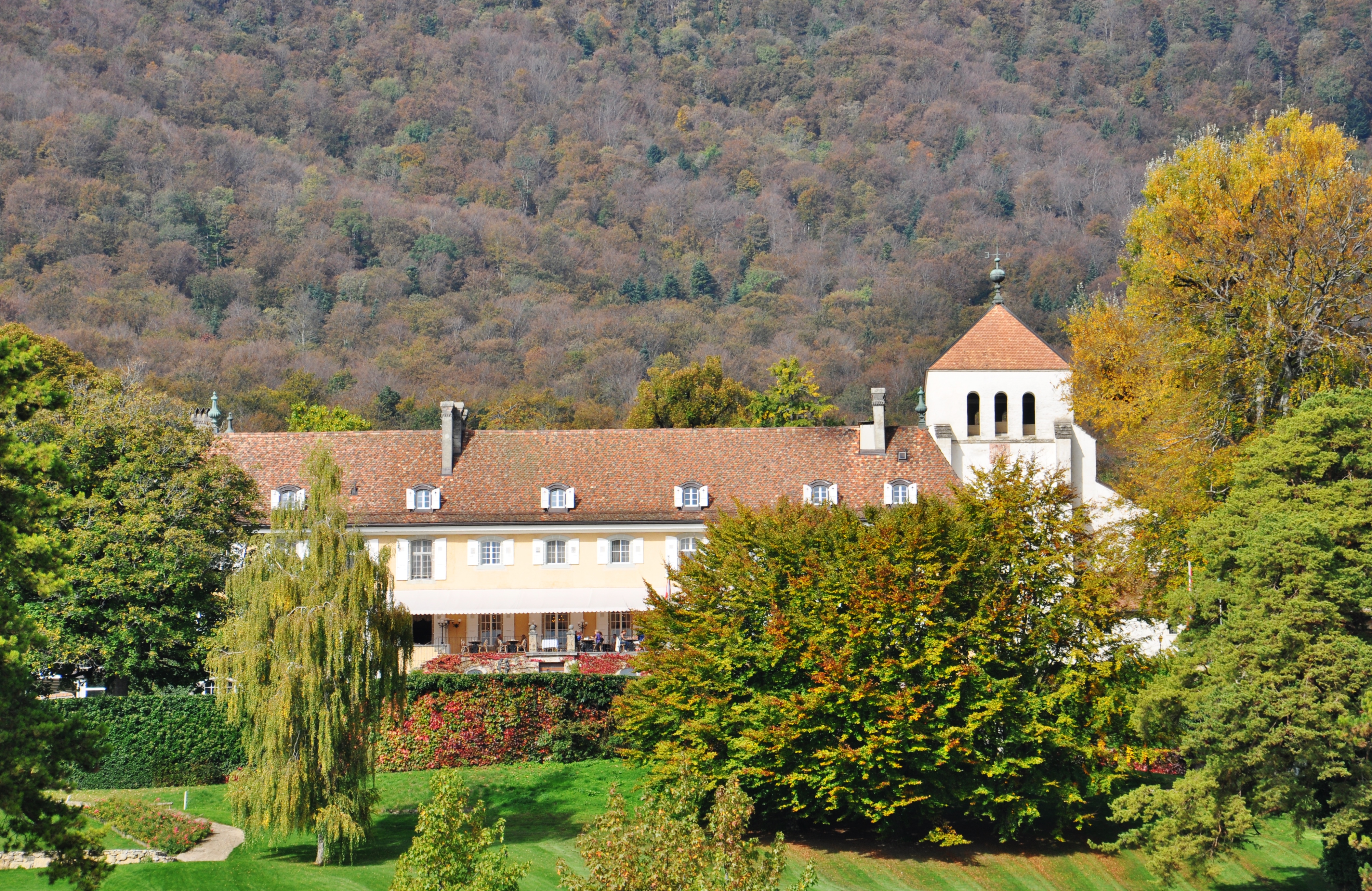 RTS: une matinée œcuménique ‘Pour la Création’ à l’Abbaye de Bonmont (VD)