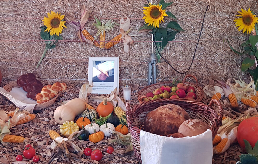 Messe des produits de la terre