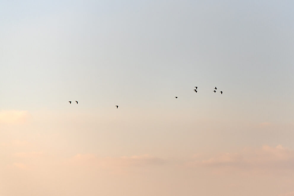 Quand le temps suspens son vol