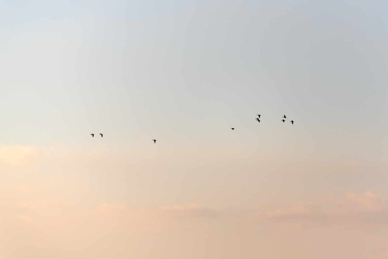 Quand le temps suspens son vol