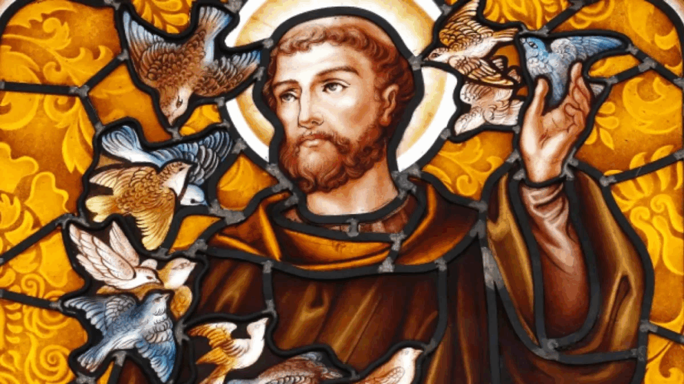 800ᵉ anniversaire de la mort de Saint François d’Assise